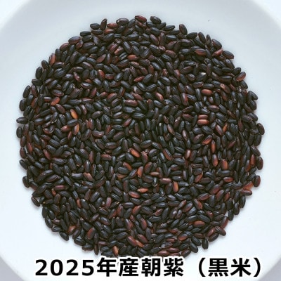 黒米「朝紫」有機JAS認証 400g×3袋  古代米