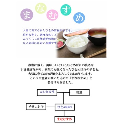 令和4年産　宮城県登米市産まなむすめ(玄米)30kg