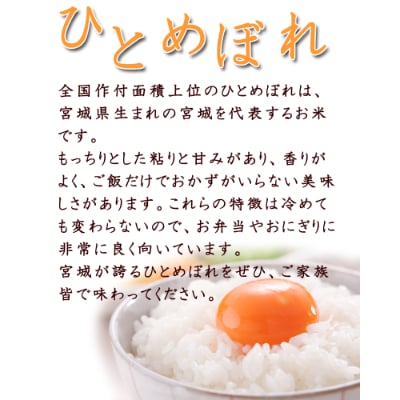 令和6年産　宮城県登米市産　食べ比べセット10kg(ひとめぼれ・つや姫 精米 各5kg)