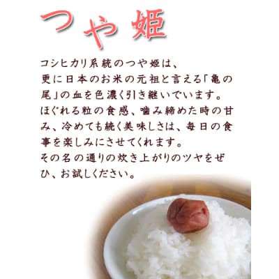 令和6年産　宮城県登米市産　食べ比べセット10kg(ササニシキ・つや姫 精米 各5kg)