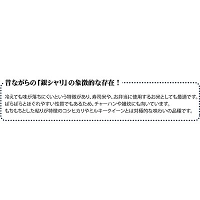 【2ヵ月毎定期便】登米市産ササニシキ精米5kg全6回