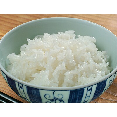 【毎月定期便】登米市産ひとめぼれ精米5kg×2個全12回
