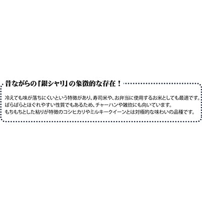 【毎月定期便】登米市産ササニシキ精米5kg全12回