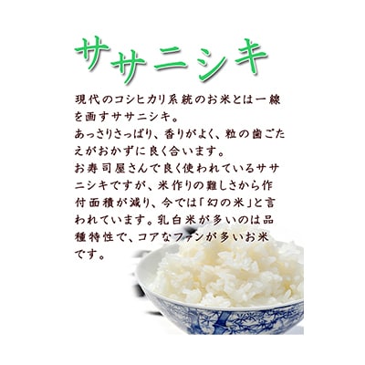 【2ヵ月毎定期便】登米市産ササニシキ精米5kg×2個全6回