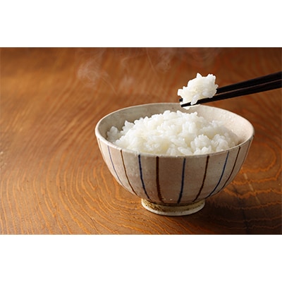 【毎月定期便】登米市産ササニシキ精米5kg×2個全12回