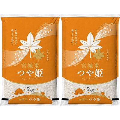 【毎月定期便】登米市産つや姫精米5kg×2個全12回