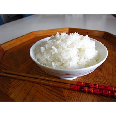【毎月定期便】登米市産つや姫精米5kg×2個全12回