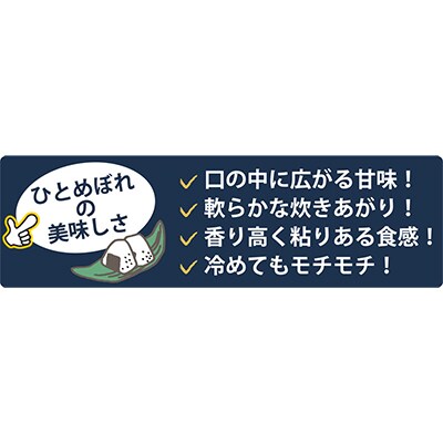 【2ヵ月毎定期便】登米市産ひとめぼれ精米5kg全6回
