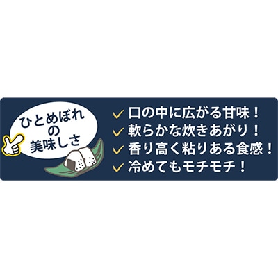 【毎月定期便】登米市産ひとめぼれ精米5kg全12回