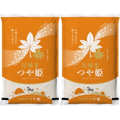 【2ヵ月毎定期便】登米市産つや姫精米5kg×2袋全6回