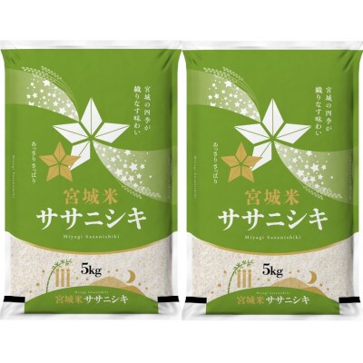 【毎月定期便】登米市産ササニシキ(精米)5kg×2袋全12回