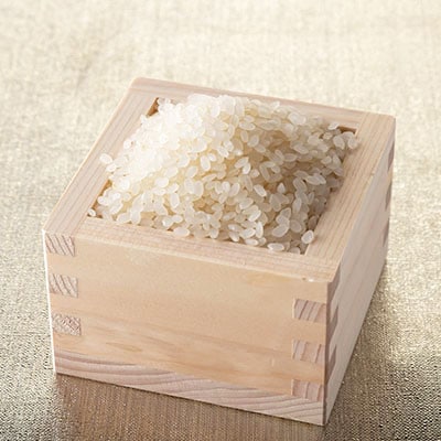 【毎月定期便】宮城県登米市産 ひとめぼれ(精米) 5kg×2袋セット全6回