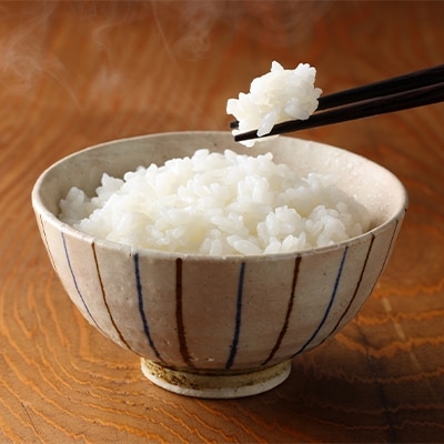 2021年12月発送開始『定期便』宮城県登米市産ササニシキ(精米)5kg×2袋【隔月】全6回