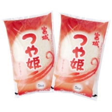 2023年11月発送開始『定期便』宮城県登米市産つや姫精米5kg×2個(隔月)全6回