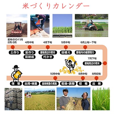 2023年6月発送開始『定期便』宮城県登米市産ひとめぼれ(玄米)30kg全12回
