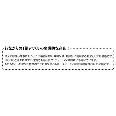 2023年11月発送開始『定期便』宮城県登米市産ササニシキ精米5kg(隔月)　全6回