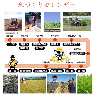 2023年11月発送開始『定期便』宮城県登米市産ササニシキ精米5kg(隔月)　全6回