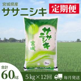 2023年11月発送開始『定期便』宮城県登米市産ササニシキ精米5kg 全12回