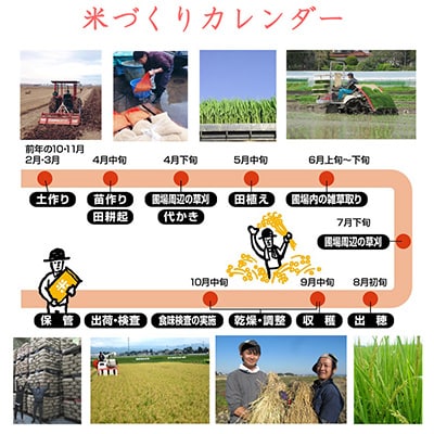 2023年7月発送開始『定期便』宮城県登米市産ササニシキ精米5kg　全12回