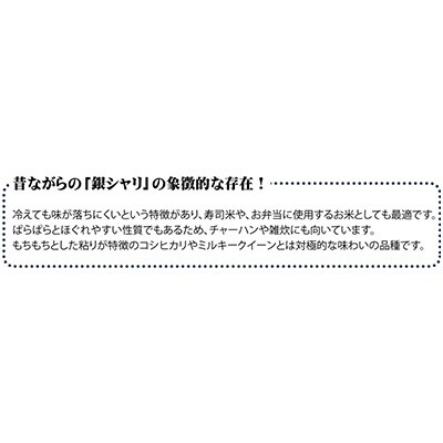 2023年10月発送開始『定期便』宮城県登米市産ササニシキ(精米)27kg　全12回