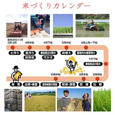 2023年10月発送開始『定期便』宮城県登米市産ササニシキ(精米)27kg　全12回