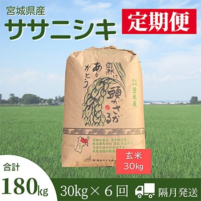 2024年度 新米30kg 3-4 細か