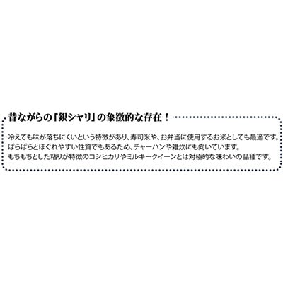 2023年8月発送開始『定期便』宮城県登米市産ササニシキ(玄米)30kg　全6回