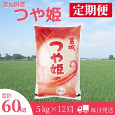 2023年11月発送開始『定期便』宮城県登米市産つや姫精米5kg　全12回