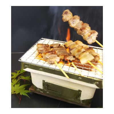 串もロースも挽肉も!豚肉盛り盛りセット