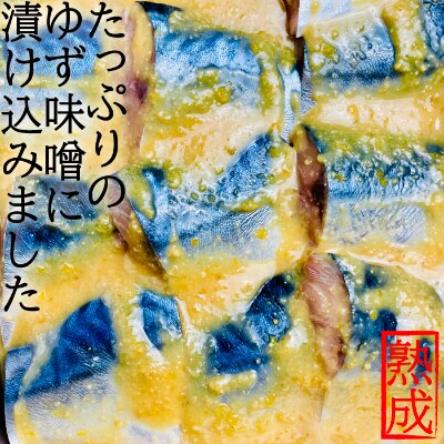 宮城県登米市生産 ご飯が進む!「金華サバゆず味噌漬け」60g×8袋