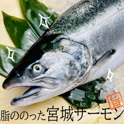 宮城県登米市生産 ご飯が進む!「みやぎサーモンゆず味噌漬け」60g×5袋