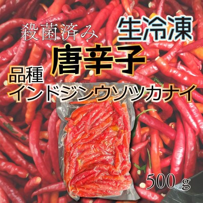 宮城県登米市産 唐辛子 品種インドジンウソツカナイ500g 殺菌後急速冷凍 業務用