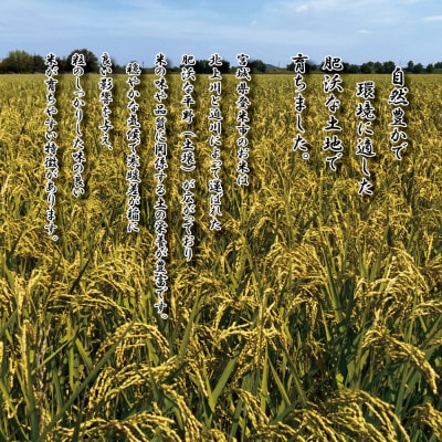 令和7年度産 宮城県産 つや姫 5kg×2袋 ～炊き上がりが美味しい、上品な甘みのお米～