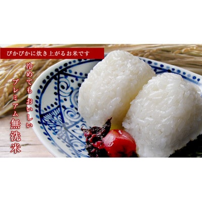 【令和6年産】宮城県登米市産のBG無洗米2kg+専用計量カップ付き