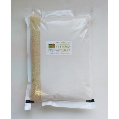 【令和6年産】宮城県登米市産のBG無洗米2kg+専用計量カップ付き