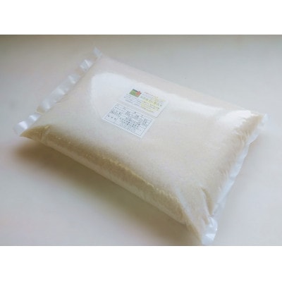 【令和6年産】宮城県登米市産のBG無洗米5kg+専用計量カップ付き