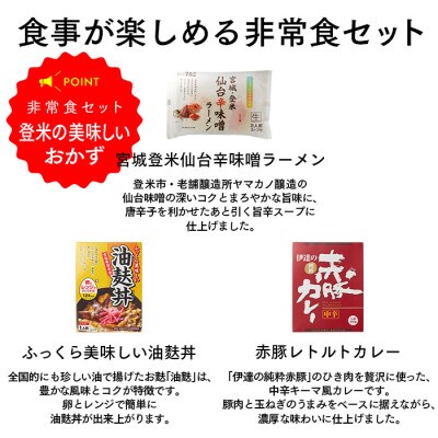 登米市 防災 CUBE 在宅避難セット 防災グッズ/防災セット/自宅避難