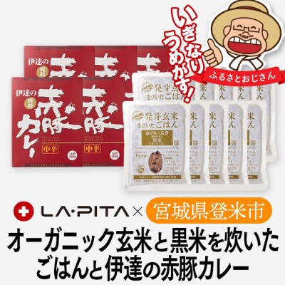 オーガニック玄米と黒米を炊いたごはんと伊達の赤豚カレー(ご飯10個×カレー5個)