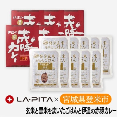 発芽玄米と黒米を炊いたパックご飯と伊達の赤豚カレー セット(ご飯12個×カレー6個)