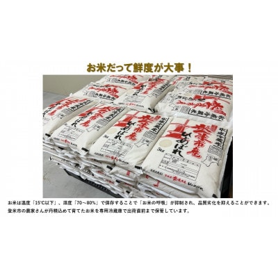 【精米】令和6年宮城県登米市産「ひとめぼれ」5kg×2袋 合計10kgセット