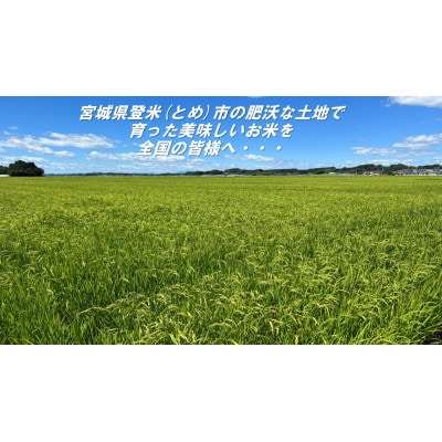 【精米】令和6年宮城県登米市産「ひとめぼれ」5kg×1・「つや姫」5kg×1  食べ比べセット