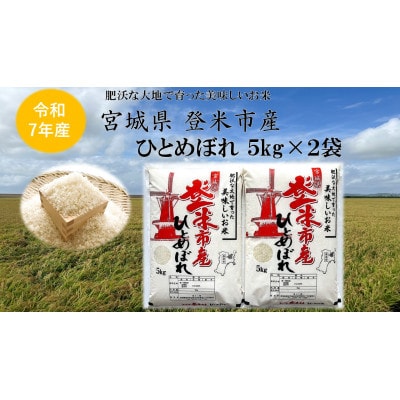 【精米】令和7年宮城県登米市産「ひとめぼれ」5kg×2袋 合計10kgセット