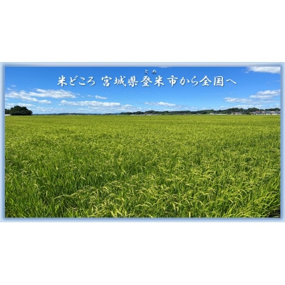 【精米】令和7年宮城県登米市産「ひとめぼれ」5kg×2袋 合計10kgセット