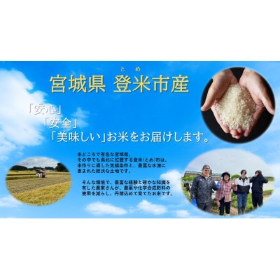 【精米】令和7年宮城県登米市産「ひとめぼれ」5kg×2袋 合計10kgセット