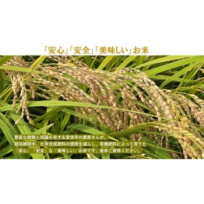 【精米】令和7年宮城県登米市産「ひとめぼれ」5kg×2袋 合計10kgセット