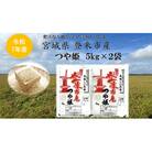 【精米】令和7年宮城県登米市産「つや姫」5kg×2袋 合計10kgセット