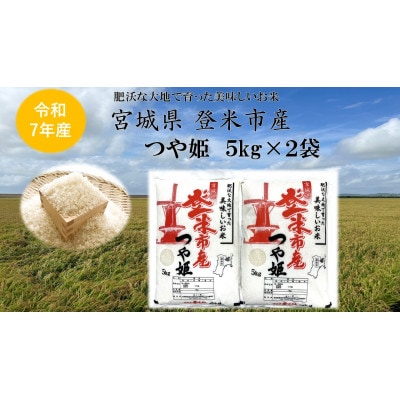 【精米】令和7年宮城県登米市産「つや姫」5kg×2袋 合計10kgセット