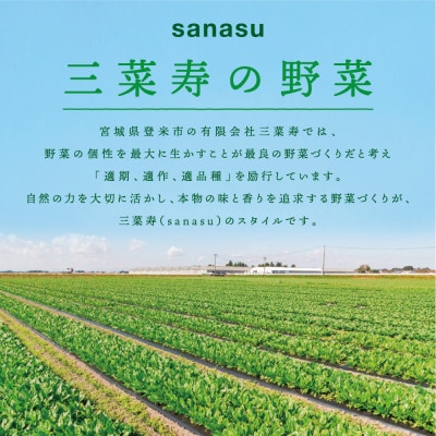 サンチュ(6パック)とフリルレタス(4パック)の焼肉野菜セット