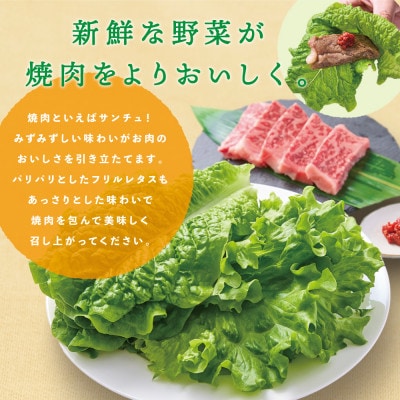 サンチュ(6パック)とフリルレタス(4パック)の焼肉野菜セット