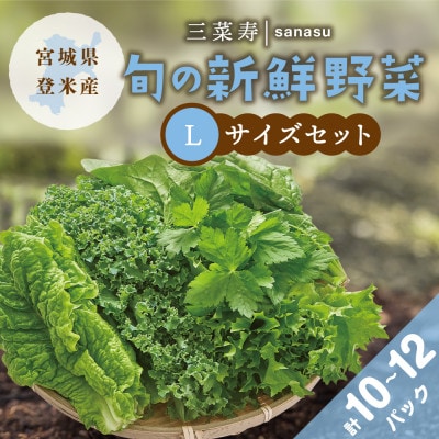 旬の新鮮野菜セット Lサイズ(5種類以上/10～12パック)